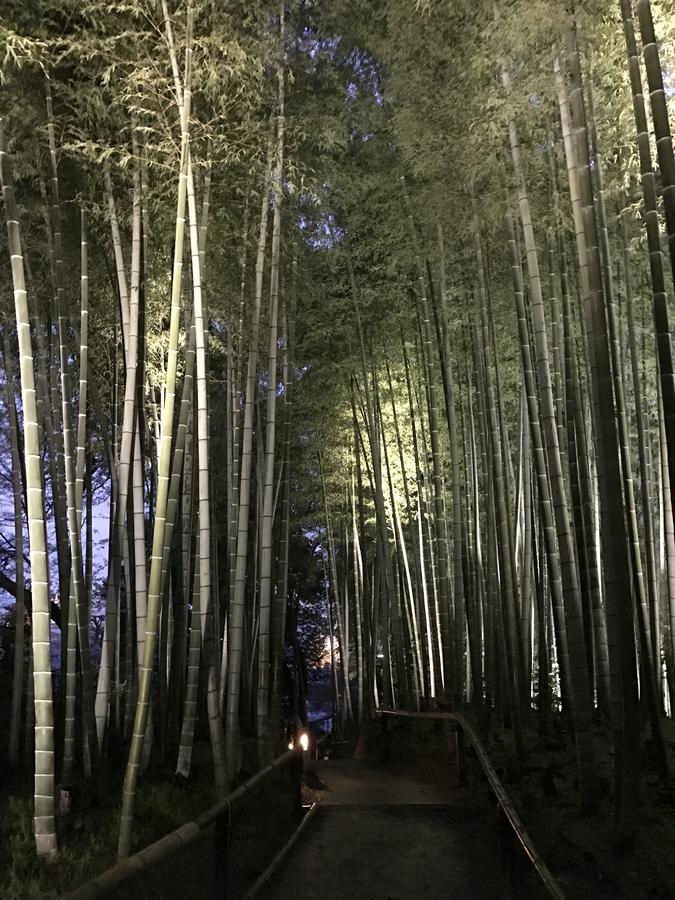 Sakuraya-Inn Осака Екстериор снимка
